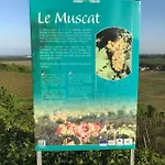 Le Muscat *