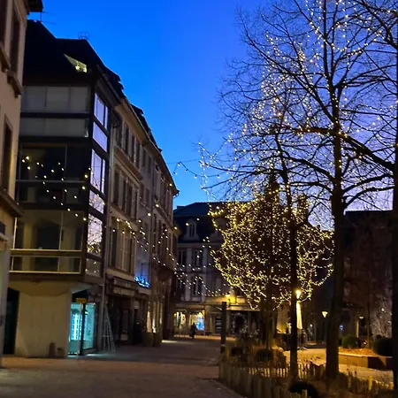 Le Muscat Colmar
