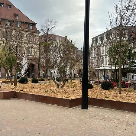 Apartamento Le Muscat Colmar