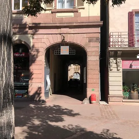 Le Muscat Apartment Colmar