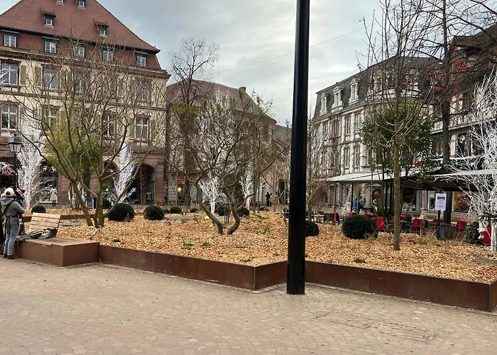 Apartamento Le Muscat Colmar