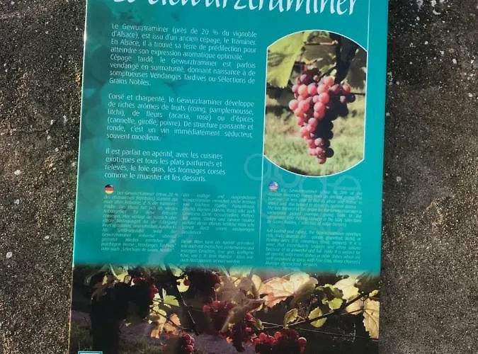 Le Muscat Appartamento *